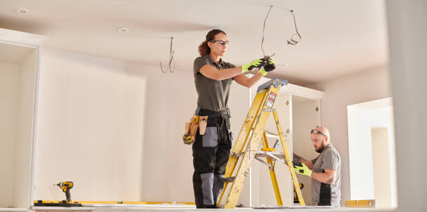 Best Electrical System Inspection  in Flat Rock, NC