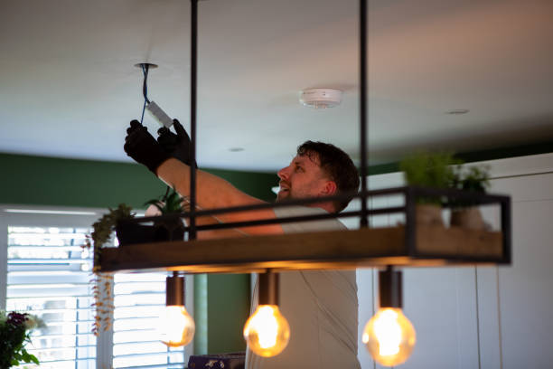 Best Electric Panel Repair  in Flat Rock, NC