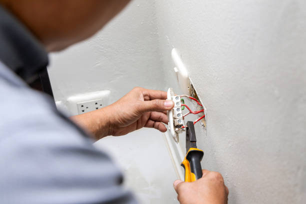 Best Generator Installation Services  in Flat Rock, NC